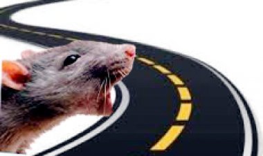 'हमारी सड़कें बहुत ‘स्वादिष्ट’ हैं...' स्वादिष्ट चीज कहीं से भी और किधर से भी खाओ 'स्वाद' में अंतर नहीं पड़ता