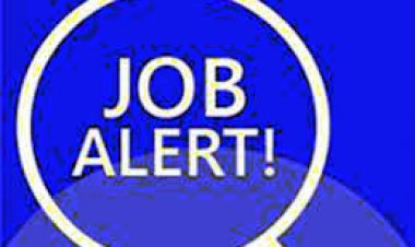 प्रदेश स्तरीय रोजगार मेला 12 जनवरी को, जिला पंचायत सीईओ को बनाया नोडल अधिकारी, कलेक्टर ने अधिकारियों को दायित्व सौंपे