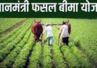 मौसम की विपरित परिस्थिति में फसल बीमा किसानों के लिए सुरक्षा का कवच बना, आप भी 31 दिसंबर तक करवा लें फसल का बीमा