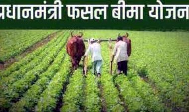 मौसम की विपरित परिस्थिति में फसल बीमा किसानों के लिए सुरक्षा का कवच बना, आप भी 31 दिसंबर तक करवा लें फसल का बीमा