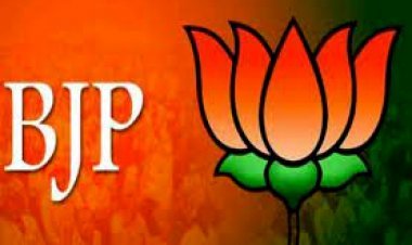 भाजपा का मिशन 11 प्रतिशत मत वृद्धि, विधायक काश्यप बोले- भाजपा ने दी राजनीतिक को नई दिशा, प्रभारी शर्मा ने किया मिशन के लिए जुटने का आह्वान