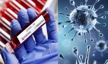 कोरोना रिटर्न : रतलाम में 41 दिन बाद कोरोना ने फिर लिया महिला को गिरफ्त में, पिपलौदा निवासी 55 वर्षीय महिला मिली संक्रमित