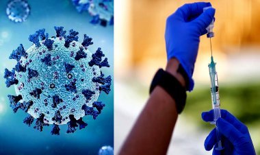 कोरोना का रतलाम में लगातार दूसरा शतक, 6 साल और 8 साल के बच्चों सहित 101 पॉजिटिव, 500 के पार पहुंची एक्टिव मरीजों की संख्या