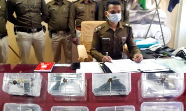 धाक जमाने के लिए खरीदी पिस्टलें, पुलिस ने गिरफ्तार कर खोली कड़ियां तो हो गया अवैध हथियार गिरोह का पर्दाफाश, 11 सौदागर व 8 पिस्टल जब्त