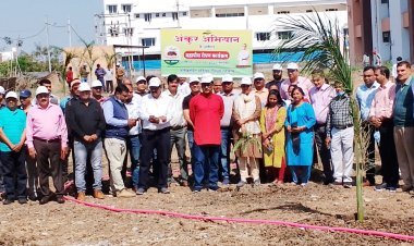 अंकुर अभियान : कलेक्टर पुरुषोत्तम ने कलेक्ट्रेट परिसर में पौधा रोपकर जिले में 77 हजार पौधे रोपने के महाअभियान का किया शुभारंभ 