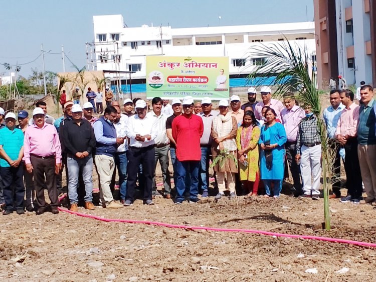 अंकुर अभियान : कलेक्टर पुरुषोत्तम ने कलेक्ट्रेट परिसर में पौधा रोपकर जिले में 77 हजार पौधे रोपने के महाअभियान का किया शुभारंभ