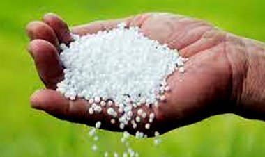 उर्वरक का सैंपल अमानक पाए जाने पर पिपलौदा के नाकोड़ा कृषि सेवा केंद्र का लाइसेंस निलंबित