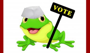 नीर-का-तीर : कहानी एक बरसाती मेंढक के परिपक्व चुनावी मेंढक बनने की