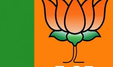 भाजपा विधि प्रकोष्ठ की जिला कार्यकारिणी घोषित, जिला संयोजक समरथ साहू ने किया मनोनयन