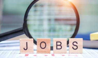 Assistant Professor Jobs 2023: असिस्टेंट प्रोफेसर के पद पर निकली भर्ती, ये करें अप्लाई