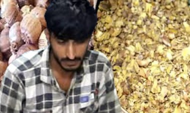 प्रदर्शन के बाद जागी पुलिस, शुरू हो गई नशे के सौदागरों पर कार्रवाई, 2 किलो से अधिक डोडाचूरा सहित एक युवक गिरफ्तार