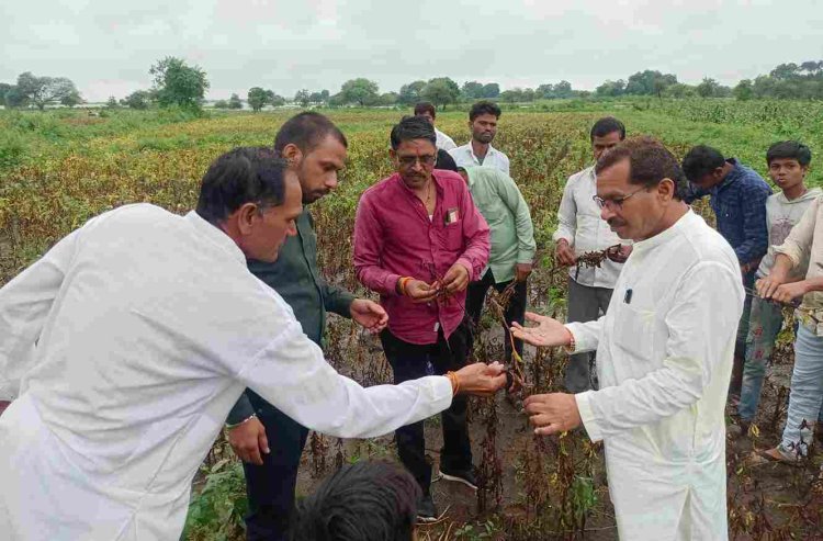 भारी बारिश से छत्री गांव का डेम ओवरफ्लो, कई घरों में पानी घुसा, 150 बीघा जमीन जलमग्न, विधायक दिलीप मकवाना ने लिया जायजा