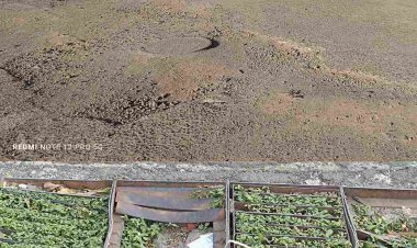 रतलाम की इस कॉलोनी में चल पड़ी मतदान के बहिष्कार की चर्चा, क्योंकि यहां की अव्यवस्थाओं के कारण कोई मर भी जाए तो किसी को फिक्र नहीं