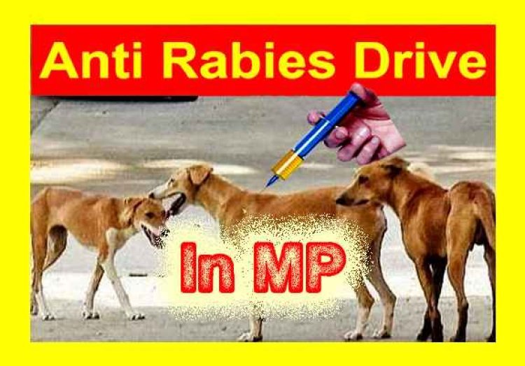 बड़ी खबर : रतलाम सहित मध्य प्रदेश के पांच शहर होंगे रैबीज फ्री, केंद्र सरकार के पायलेट प्रोजेक्ट के तहत कुत्तों और बंदरों अन्य जानवरों को लगेंगे इंजेक्शन