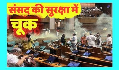 संसद की सुरक्षा में चूक : शीतकालीन शत्र के शून्य काल में दर्शक दीर्घा से कूदे संदिग्ध दो युवा, मची अफरा-तफरी, देखें वीडियो...