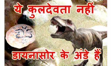 जिन पत्थरों को कुलदेवता ‘काकड़ भैरव’ मानकर पूज रहे थे ग्रामीण, वे डायनासोर के अंडे निकले, पता चला तो वैज्ञानिक भी हो गए हैरान
