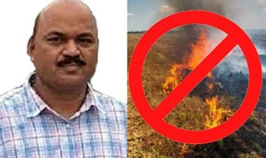 यह रोक जरूरी है : रतलाम जिले में नरवाई जलाने पर रोक, कलेक्टर ने जारी किया आदेश, कहा- उल्लंघन किया तो कार्रवाई होगी