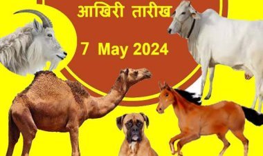 सावधान ! अगर आपने पाल रखा है इनमें से कोई भी पशु तो 7 मई तक करवा लें रजिस्ट्रेशन, वरना हो जाएगी मुसीबत