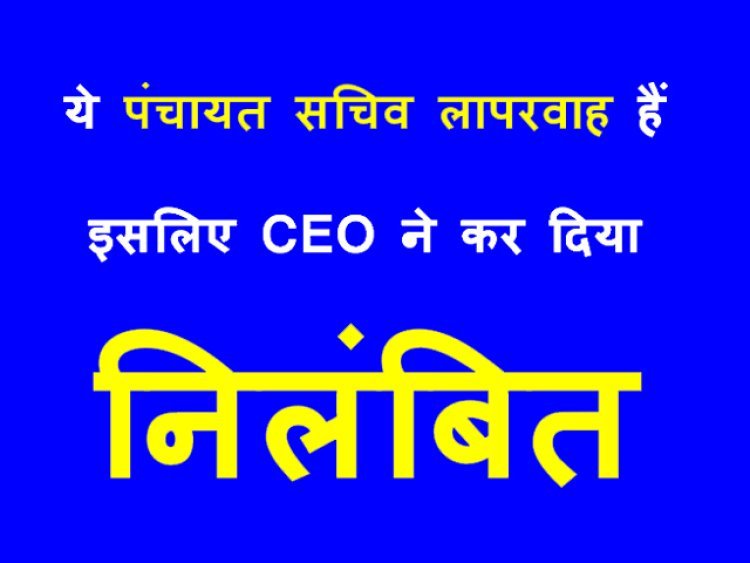 ये कैसे पंचायत सचिव ? 2.50 लाख रुपए आहरण के बाद भी नहीं बना सामुदायिक स्वच्छता परिसर, ऑनलाइन पासवर्ड दूसरे को बता दिया, इसलिए कर दिया निलंबित
