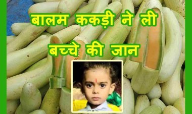 फूड पॉइजनिंग ! बालम ककड़ी खाने एक ही परिवार के 5 लोग बीमार, 5 वर्षीय बालक ने तोड़ा दम, मां और दो बेटियां का चल रहा उपचार
