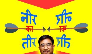 नीर का तीर : सिस्टम का नाकारापन, लेखक और उसकी आत्मा का द्वंद्व