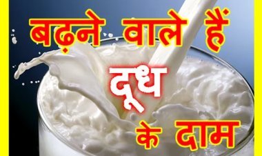 अलर्ट ! पशुपालकों का ऐलान- 5 रुपए प्रति लीटर ज्यादा दाम मिलने पर ही देंगे दूध, अभा ग्राहक पंचायत का ऐलान- ग्राहकों पर पड़ा आर्थिक भार तो होगा विरोध