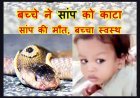 खबर जरा हट के ! 1 साल के बच्चे ने खिलौना समझ पकड़ लिया सांप को, बच्चे के काटने से हो गई सांप की मौत
