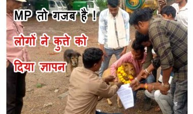 अफसर नहीं, कुत्ते पर भरोसा ! MP के इस कस्बे के लोग समस्याओं से इतने त्रस्त हैं कि कुत्ते को ज्ञापन देकर समाधान की गुहार लगाई