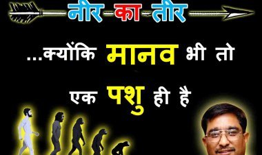 नीर-का-तीर : ये बिल्लियां आंख खोलकर चाट रहीं रबड़ी, शुतुरमुर्ग मुंह छिपाने के लिए रेत में गड़ा रहे गर्दन, कुत्ते इतराने लगे और गेंडे तो शर्माने ही लगे