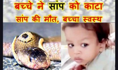 खबर जरा हट के ! 1 साल के बच्चे ने खिलौना समझ पकड़ लिया सांप को, बच्चे के काटने से हो गई सांप की मौत