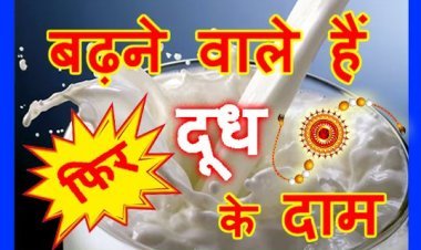 फिर बढ़ने वाले हैं दूध के दाम ! रतलाम में रक्षाबंधन पर्व से दाम 5 रुपए प्रति लीटर बढ़ाने का ऐलान, दूध उत्पादकों ने बैठक में लिया निर्णय