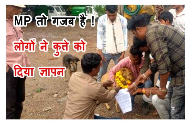अफसर नहीं, कुत्ते पर भरोसा ! MP के इस कस्बे के लोग समस्याओं से इतने त्रस्त हैं कि कुत्ते को ज्ञापन देकर समाधान की गुहार लगाई