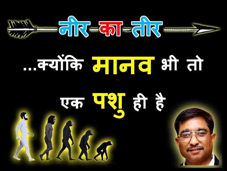 नीर-का-तीर : ये बिल्लियां आंख खोलकर चाट रहीं रबड़ी, शुतुरमुर्ग मुंह छिपाने के लिए रेत में गड़ा रहे गर्दन, कुत्ते इतराने लगे और गेंडे तो शर्माने ही लगे