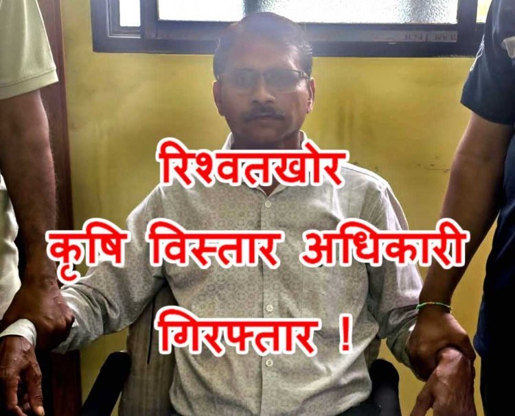 MP के रतलाम में कृषि विस्तार अधिकारी 10 हजार रुपए रिश्वत लेते गिरफ्तार, कीटनाशक व खाद-बीज दुकान का लाइसेंस देने के लिए मांगी थी घूस